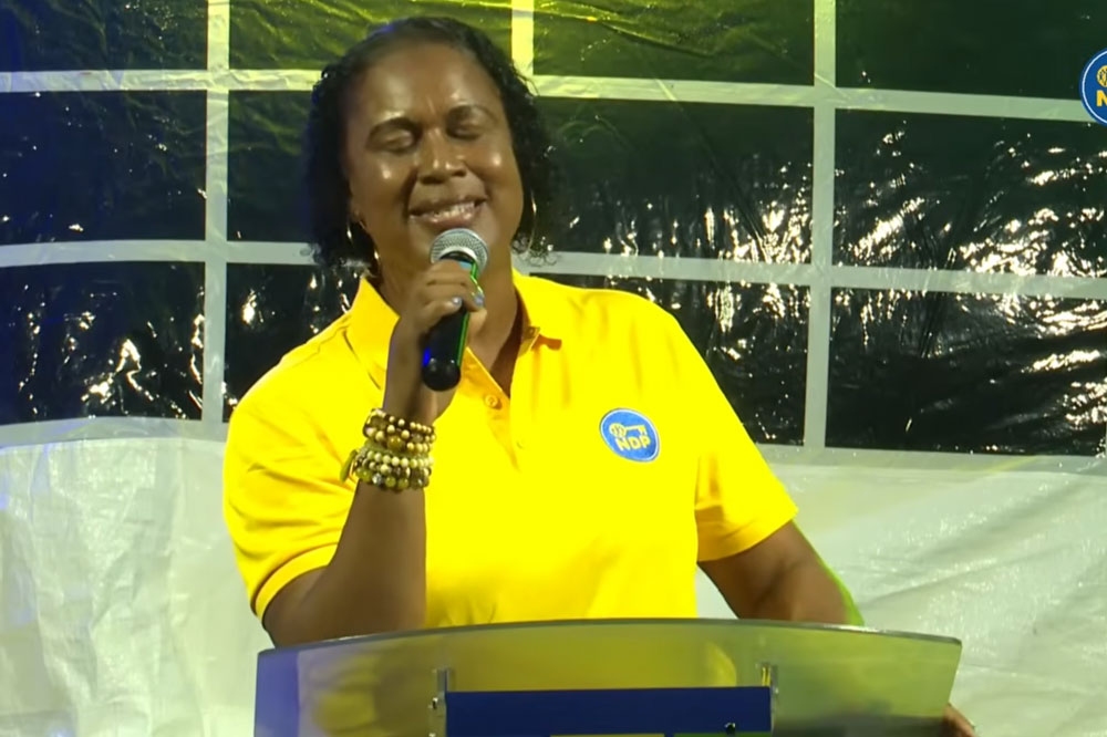 No barrier against another possible Rock Gutter tragedy, says Shevern John