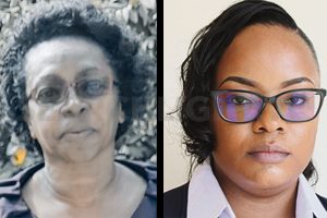 32 to contest Nov. 27 polls