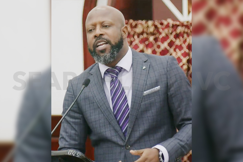 A Budget without Growth Drivers, says ULP Senator