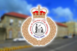 Police investigate death of man following fire at Belvedere