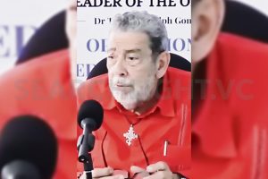 Winning election does  not give you ‘unrestrained, unshackled, unbounded  executive power’, says Opposition Leader