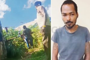 Wanted man shot by police