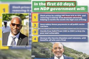 We never said we were going to reduce VAT in 60 days – Bramble