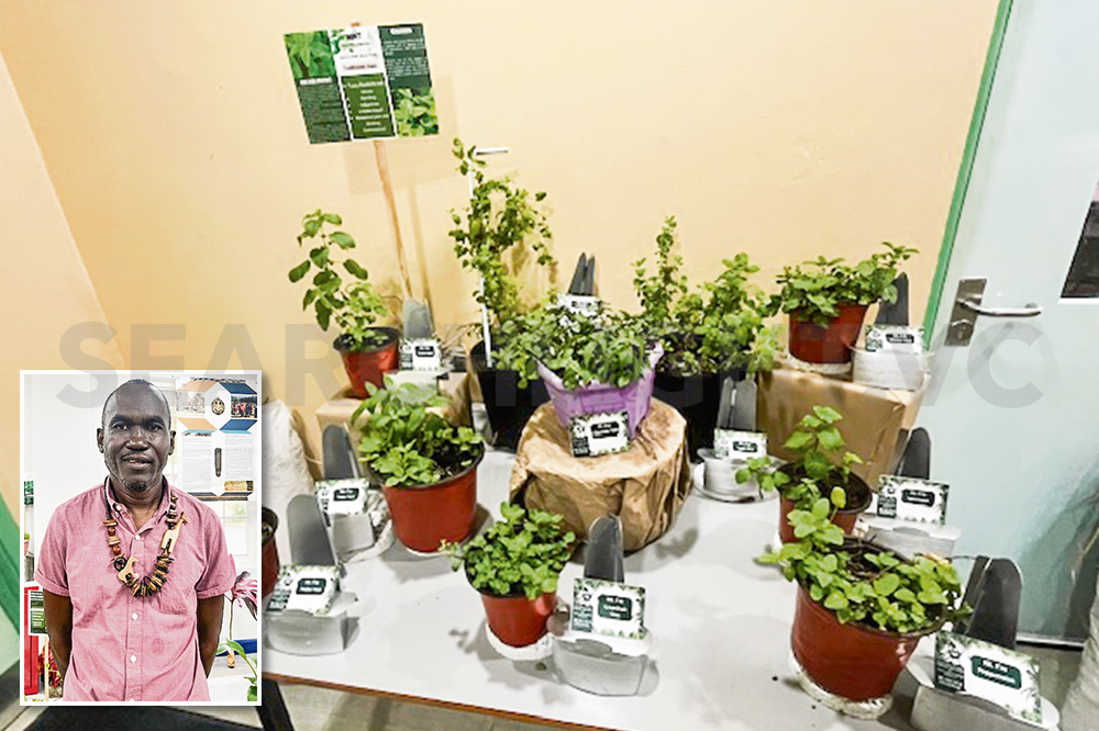 Visitors delight in ‘Bush Tea’ at Heritage Exhibition