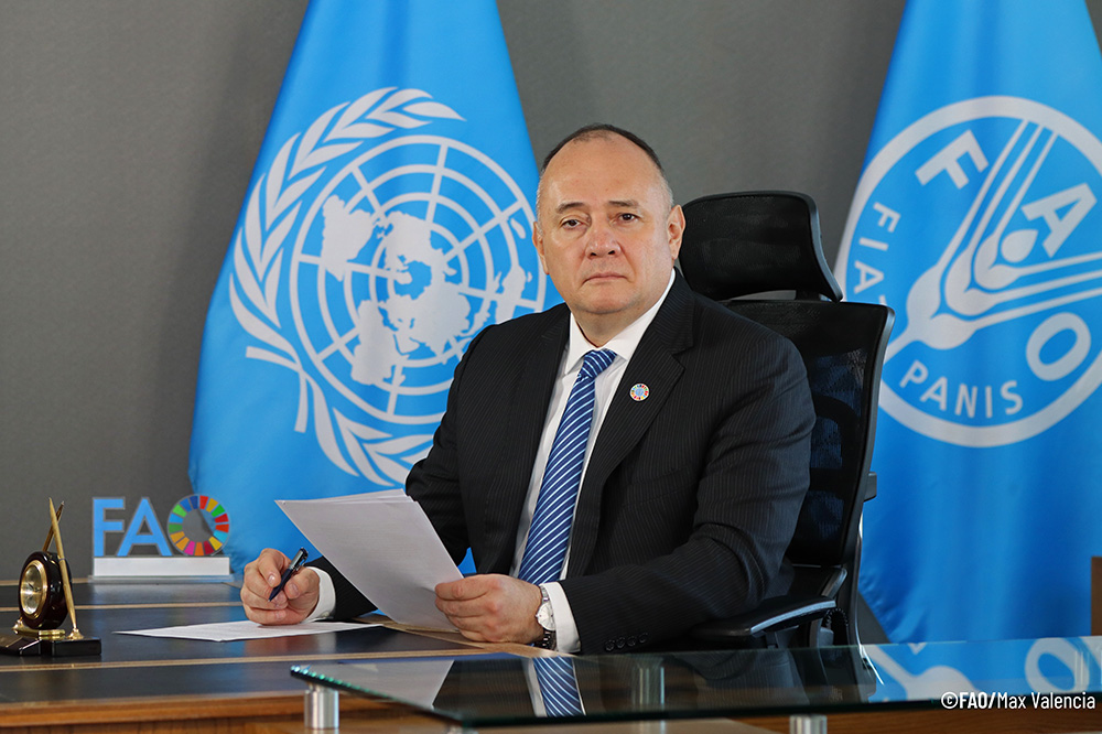 Latin America and the Caribbean advancing in the fight to eradicate hunger