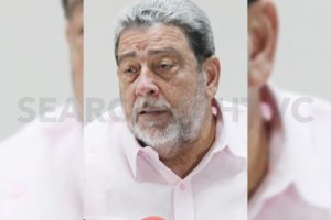 Issue involving dual citizenship of MPs is ‘not a frivolous matter’