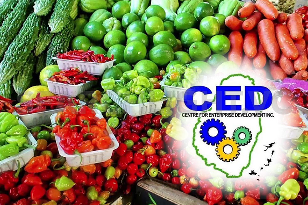 CED hosts forum to help boost agro-processing