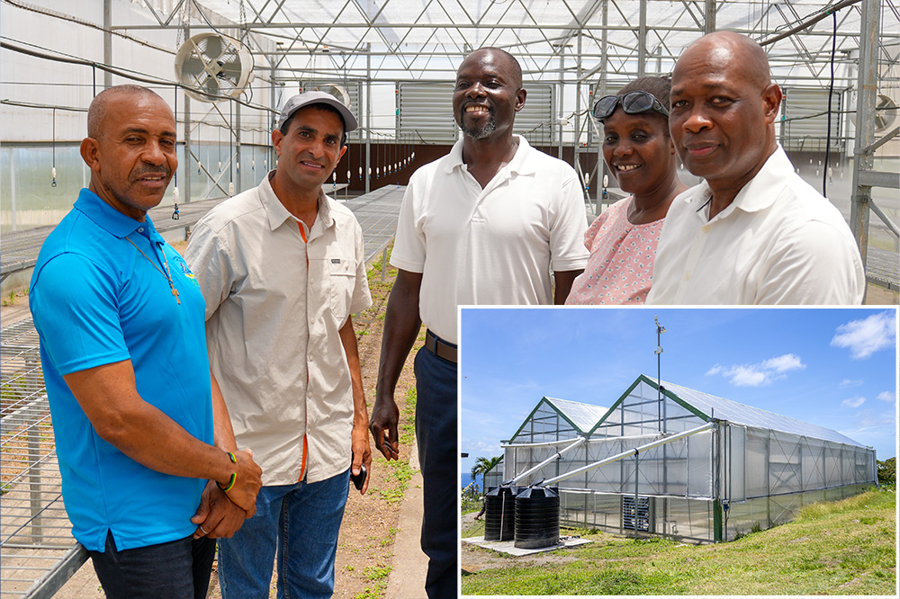 New climate control Greenhouse installed at Orange Hill