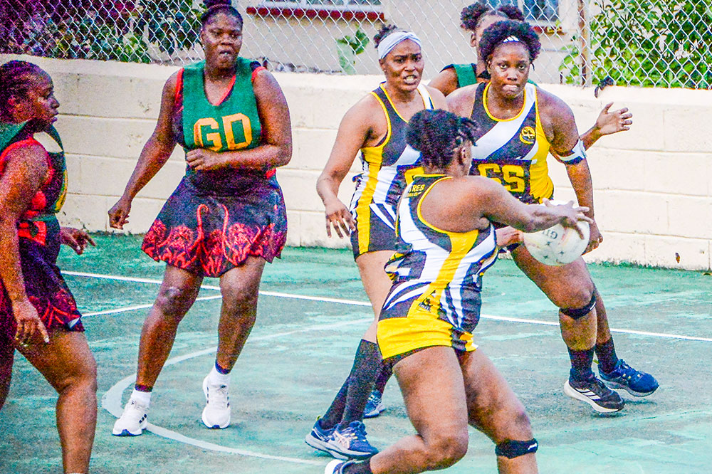 Mitres retains Division One national netball title