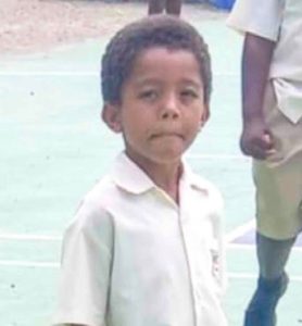 Search continues for boy who disappeared at sea