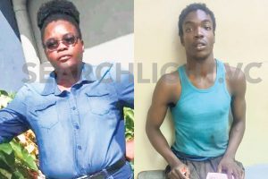 Mother blames  system for destroying her son’s mental health