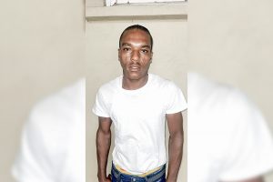 Georgetown man charged with illegal gun and ammo possession