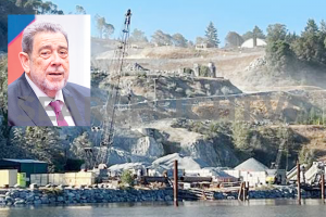 Mangrove destroyed in conservation area – Opposition Leader